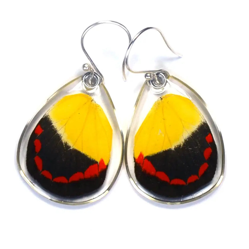 Wingstitution Butterfly Jewelry
