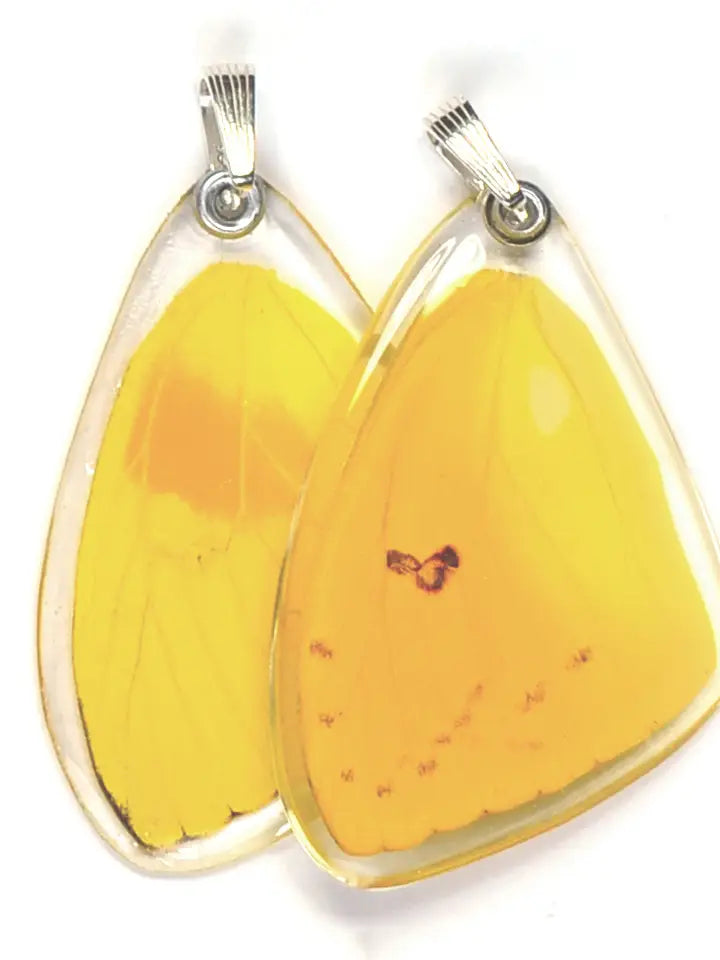 Wingstitution Butterfly Jewelry