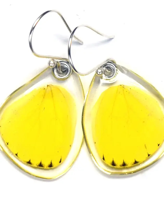 Wingstitution Butterfly Jewelry