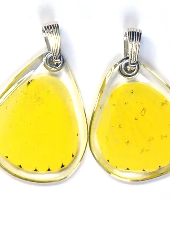 Wingstitution Butterfly Jewelry