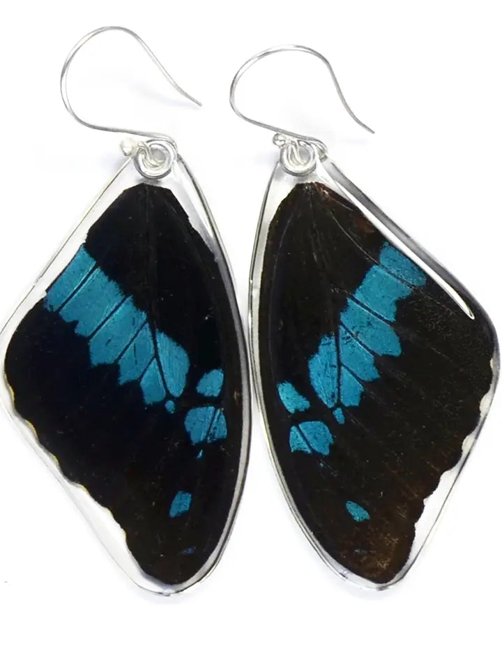 Wingstitution Butterfly Jewelry