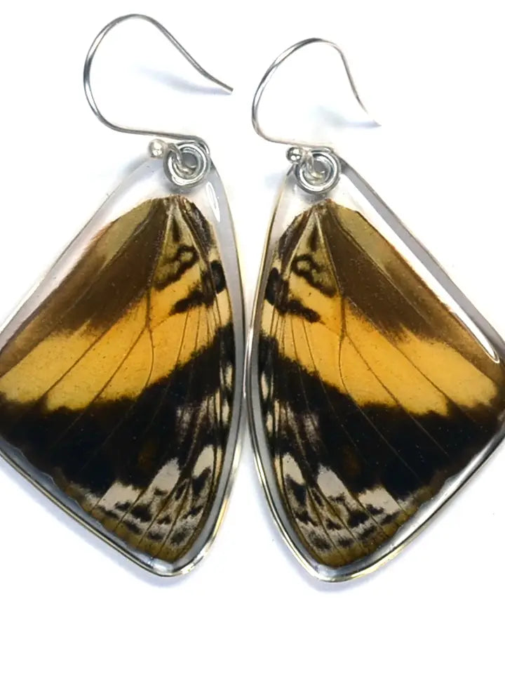 Wingstitution Butterfly Jewelry