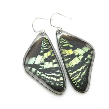 Wingstitution Butterfly Jewelry