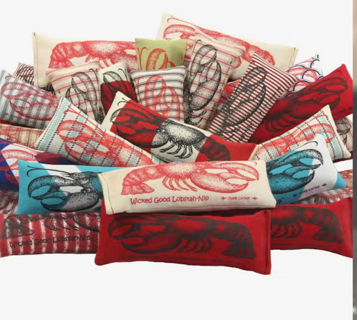 Dr. Pussums Cat Toys