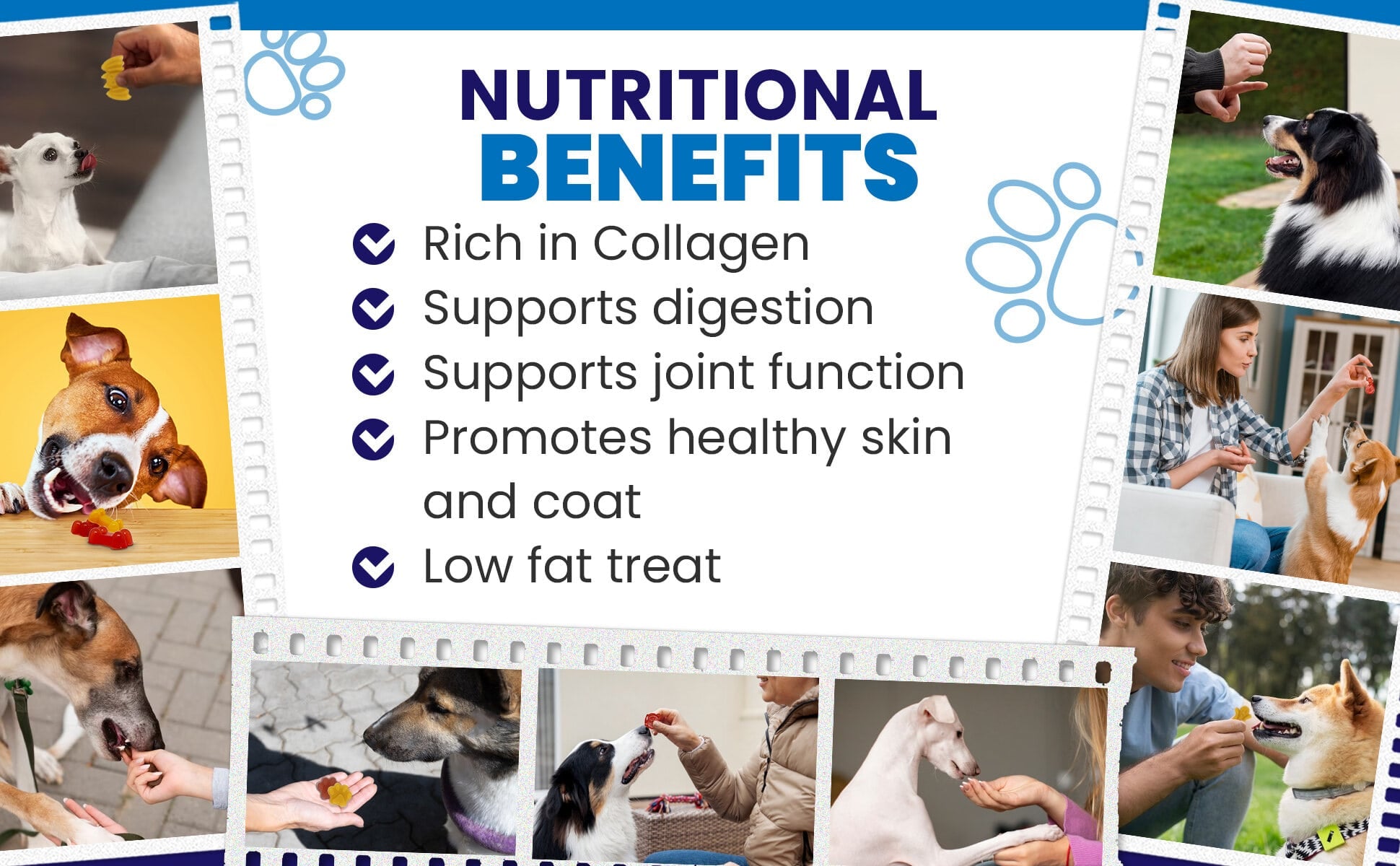 Dogtastic Jelly Shots & Molds