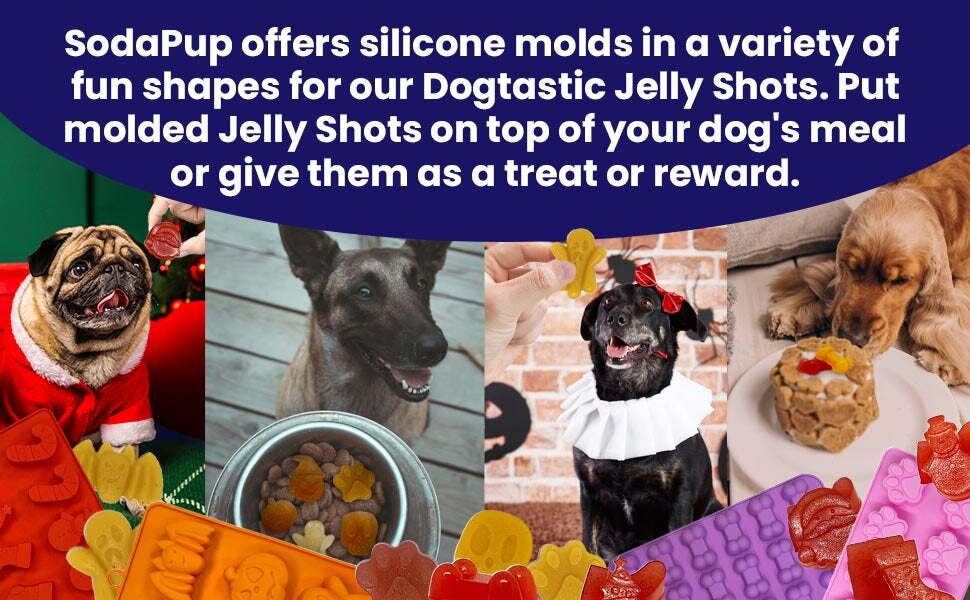 Dogtastic Jelly Shots & Molds