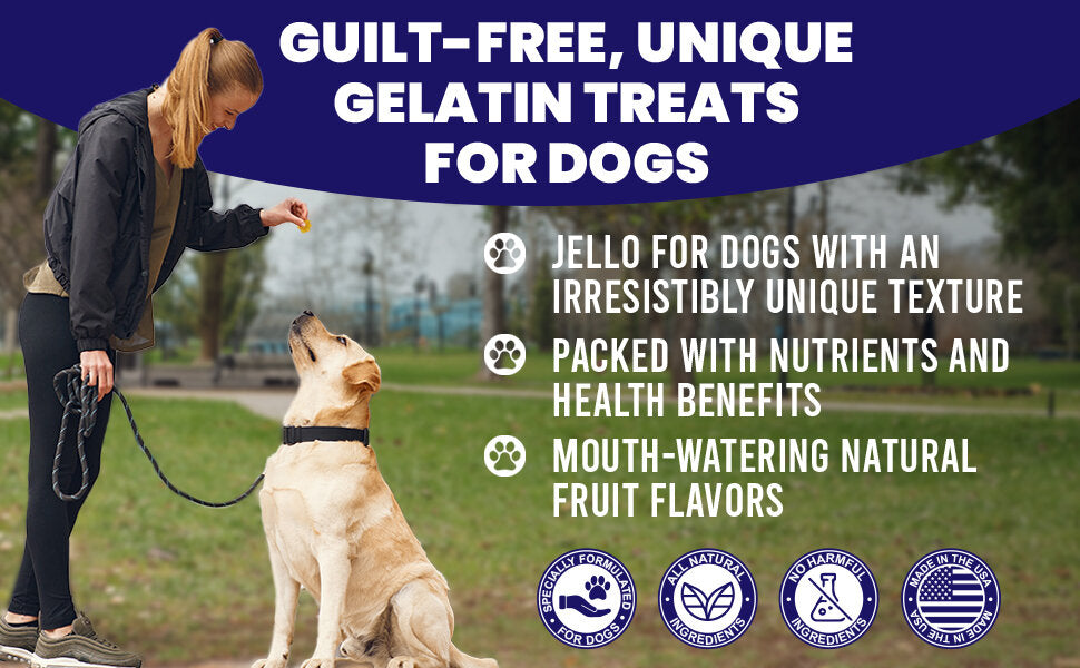 Dogtastic Jelly Shots & Molds