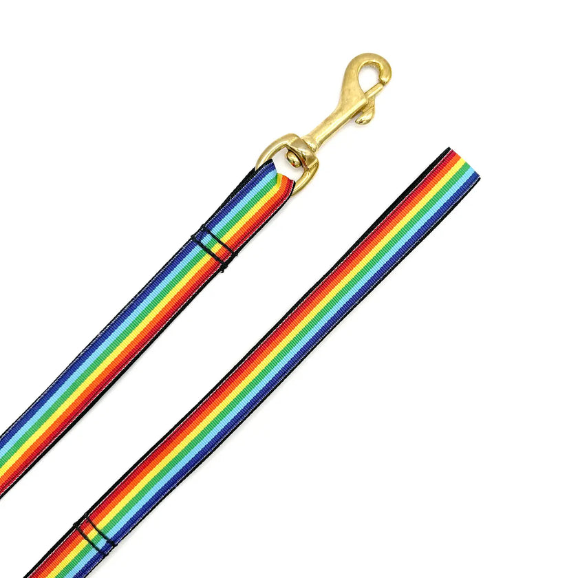 Winthrop Collars and Leashes