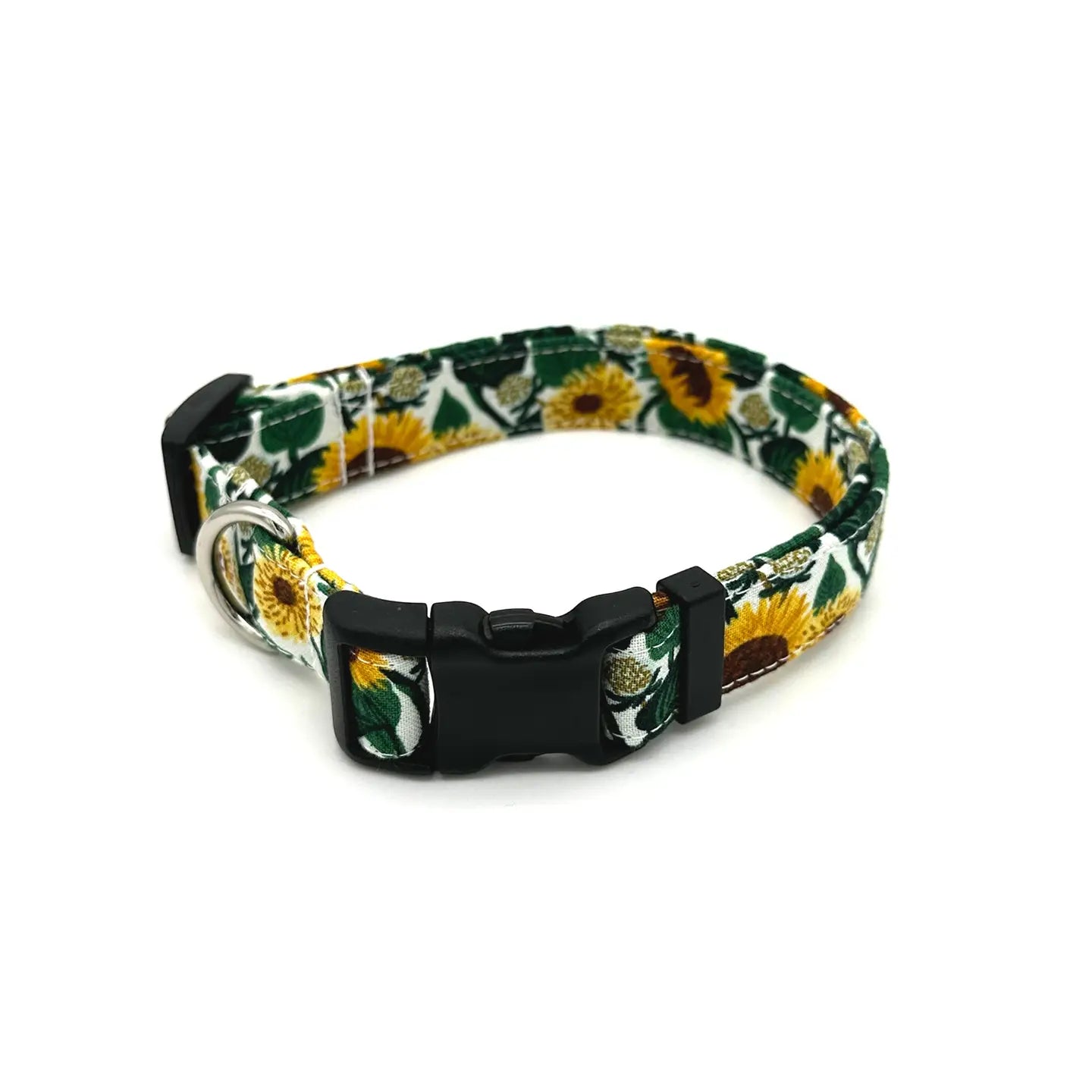 Winthrop Collars and Leashes