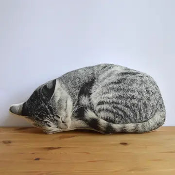 Pillows by Broderpress