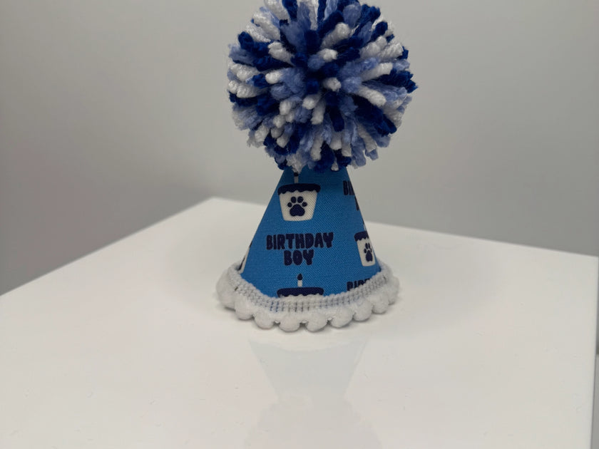 Pup Party Hats & Bandanas