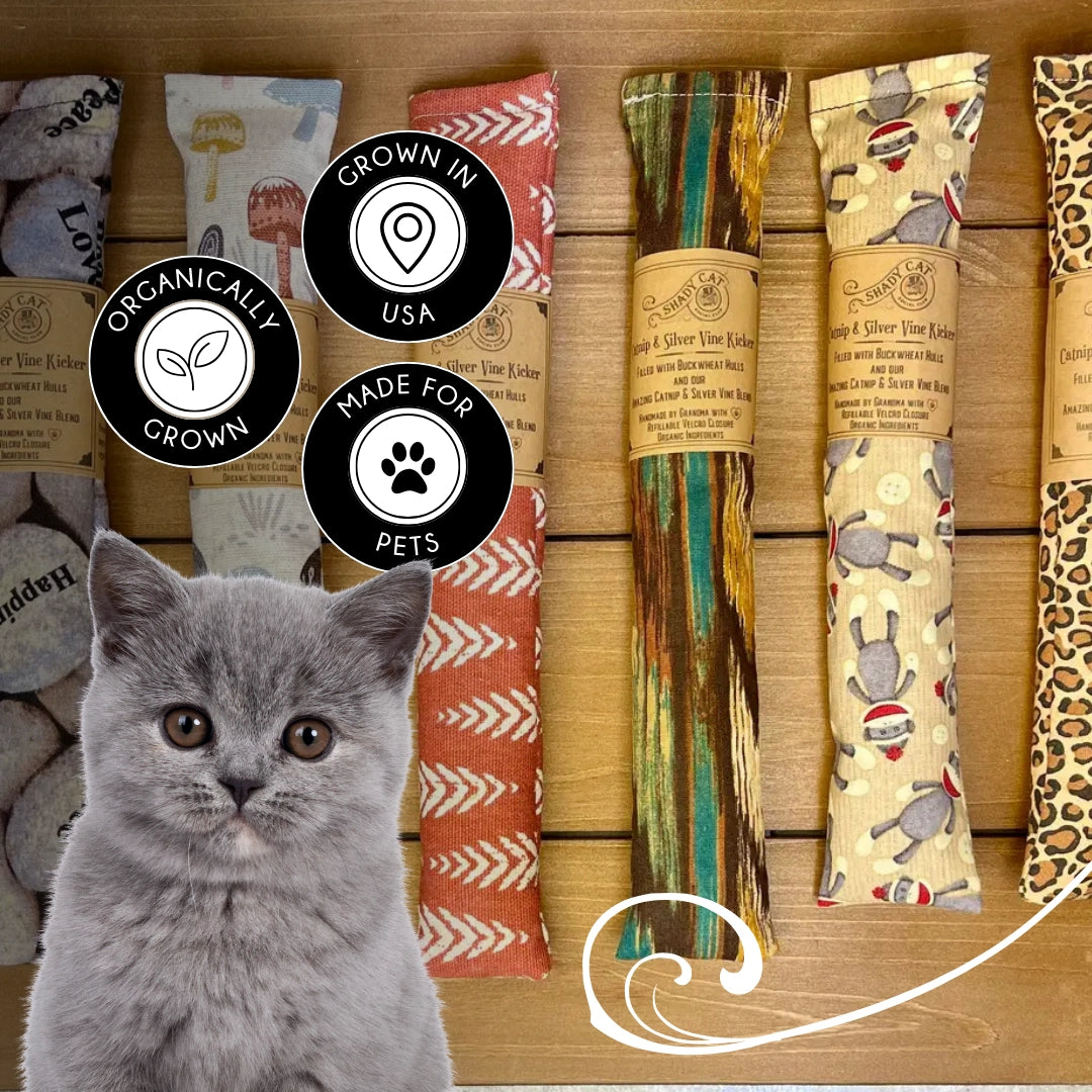 Shady Cat Social Club Catnip