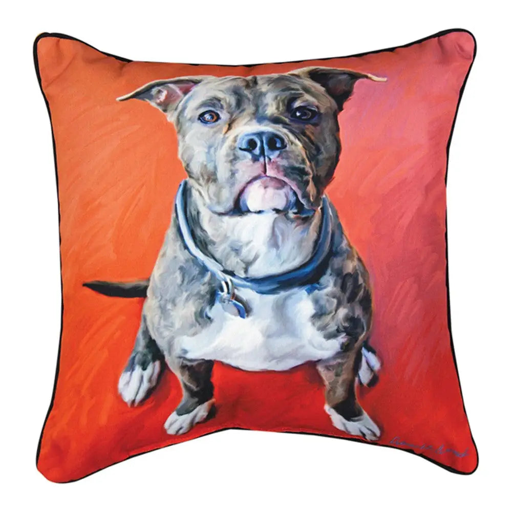 Pillows by Manual Woodworkers and Weavers