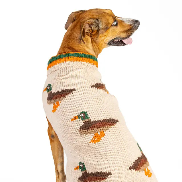 XXXL Chilly Dog Sweaters