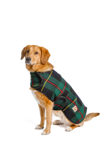 Blanket Coats by Chilly Dog LLC
