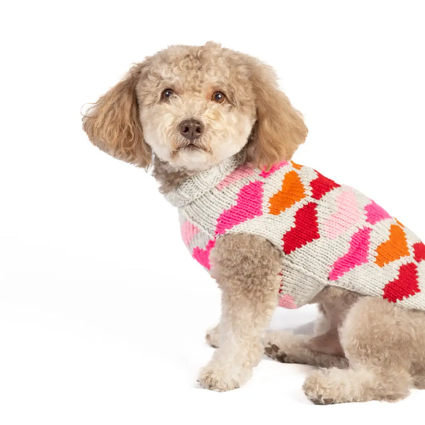 XXL Chilly Dog Sweaters