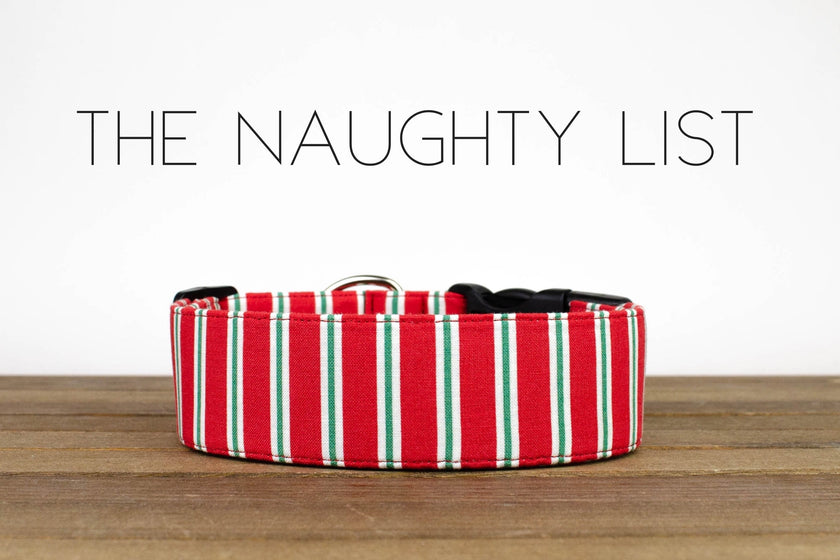 Collars by Puddle Jumper Pups