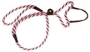 Mendota Martingale Leash