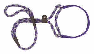 Mendota Martingale Leash