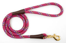 Mendota Classic Snap Leash