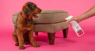 Stop Marking! Preventative Spray