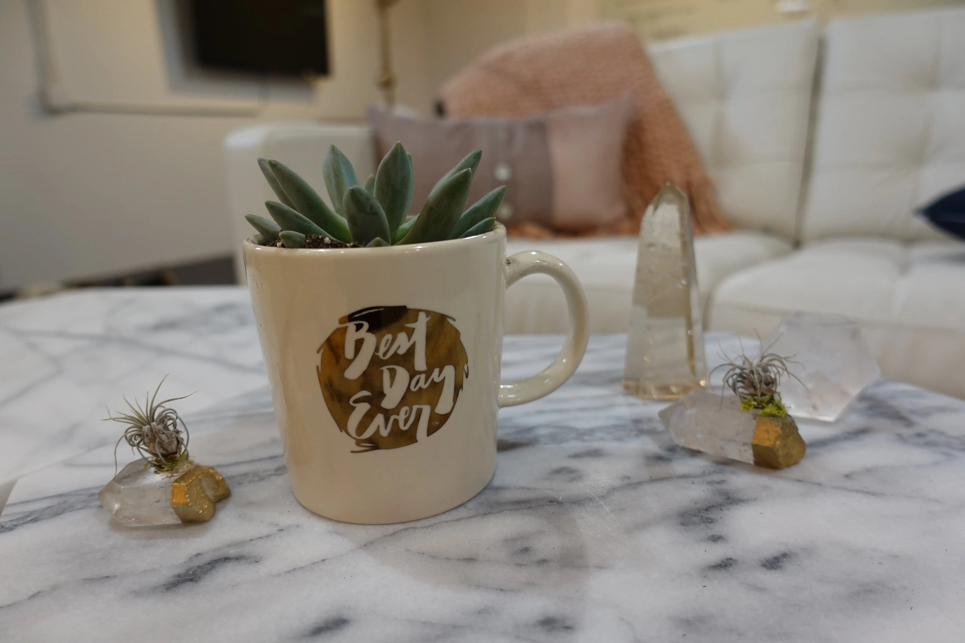 Best Day Ever  Metallic Mug