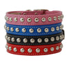 Auburn Leathercrafters Silver Studded Collar
