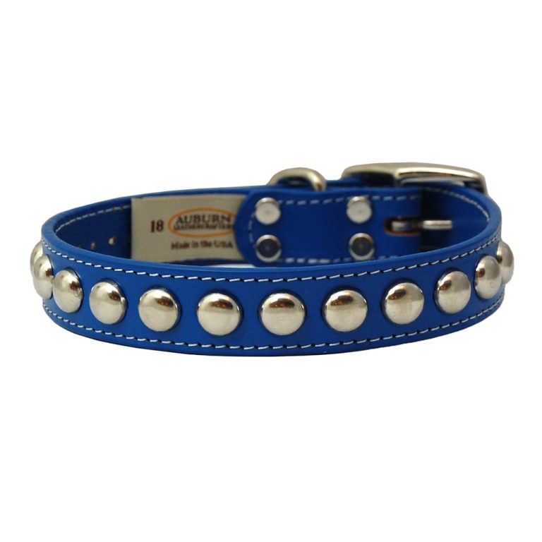Auburn Leathercrafters Silver Studded Collar