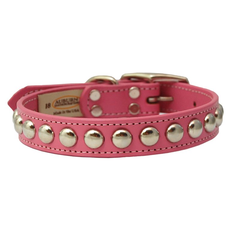 Auburn Leathercrafters Silver Studded Collar