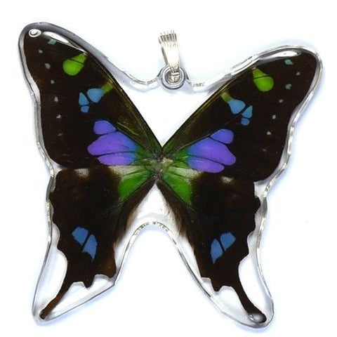 Wingstitution Butterfly Jewelry