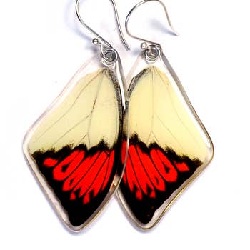 Wingstitution Butterfly Jewelry