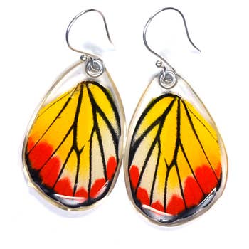 Wingstitution Butterfly Jewelry