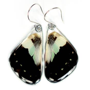 Wingstitution Butterfly Jewelry