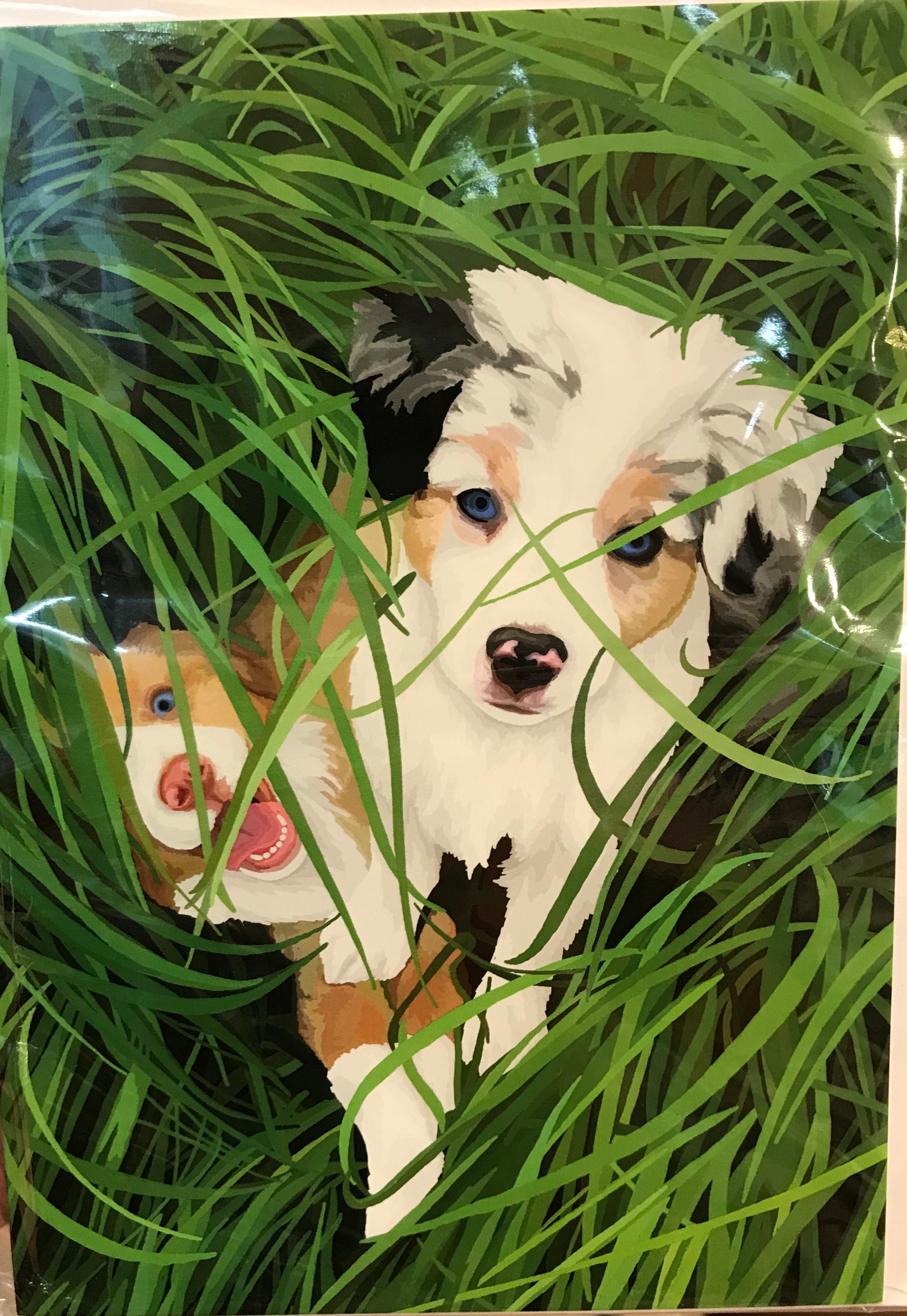 Wet Nose Greetings Card, 5