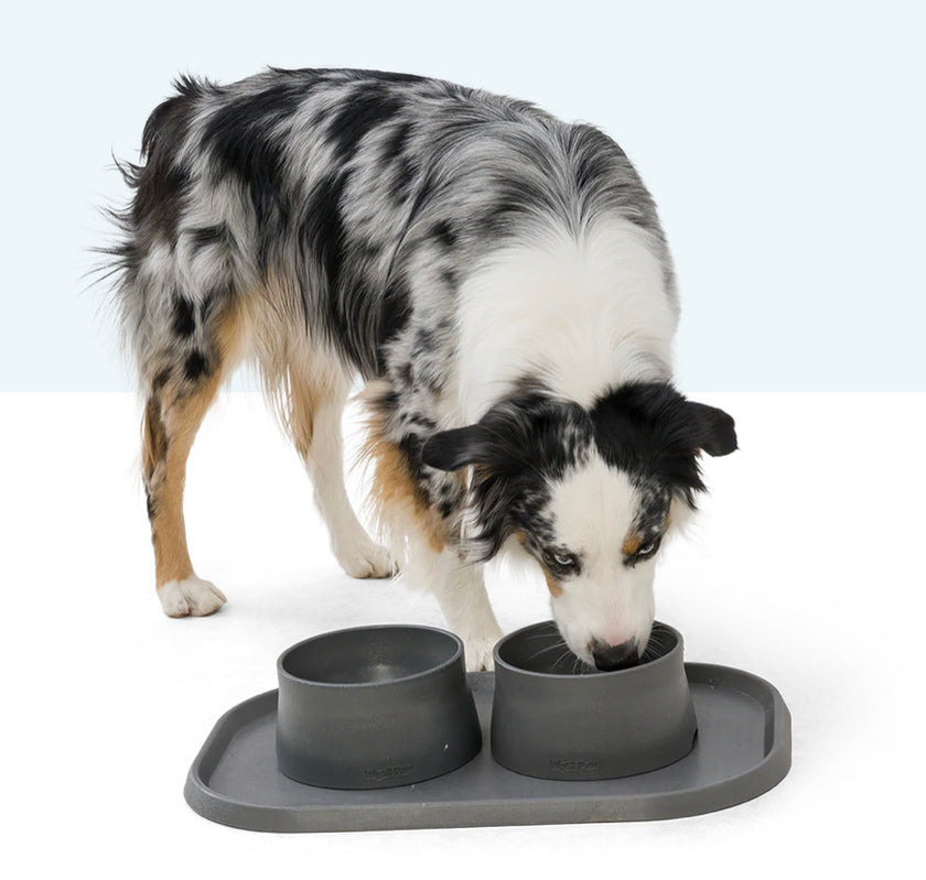 West Paw Seaflex Feeding Mat