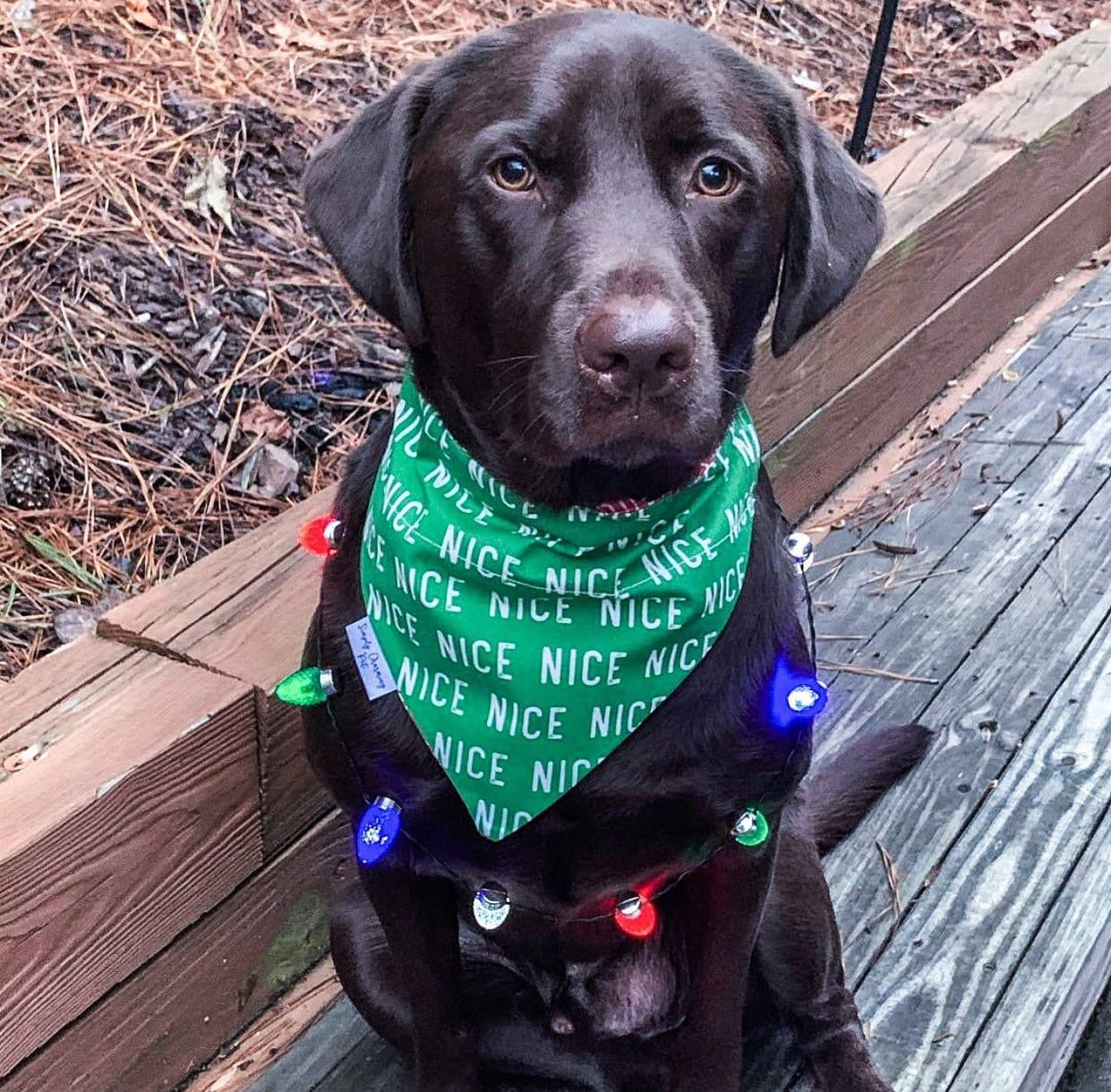Holiday Bandanas