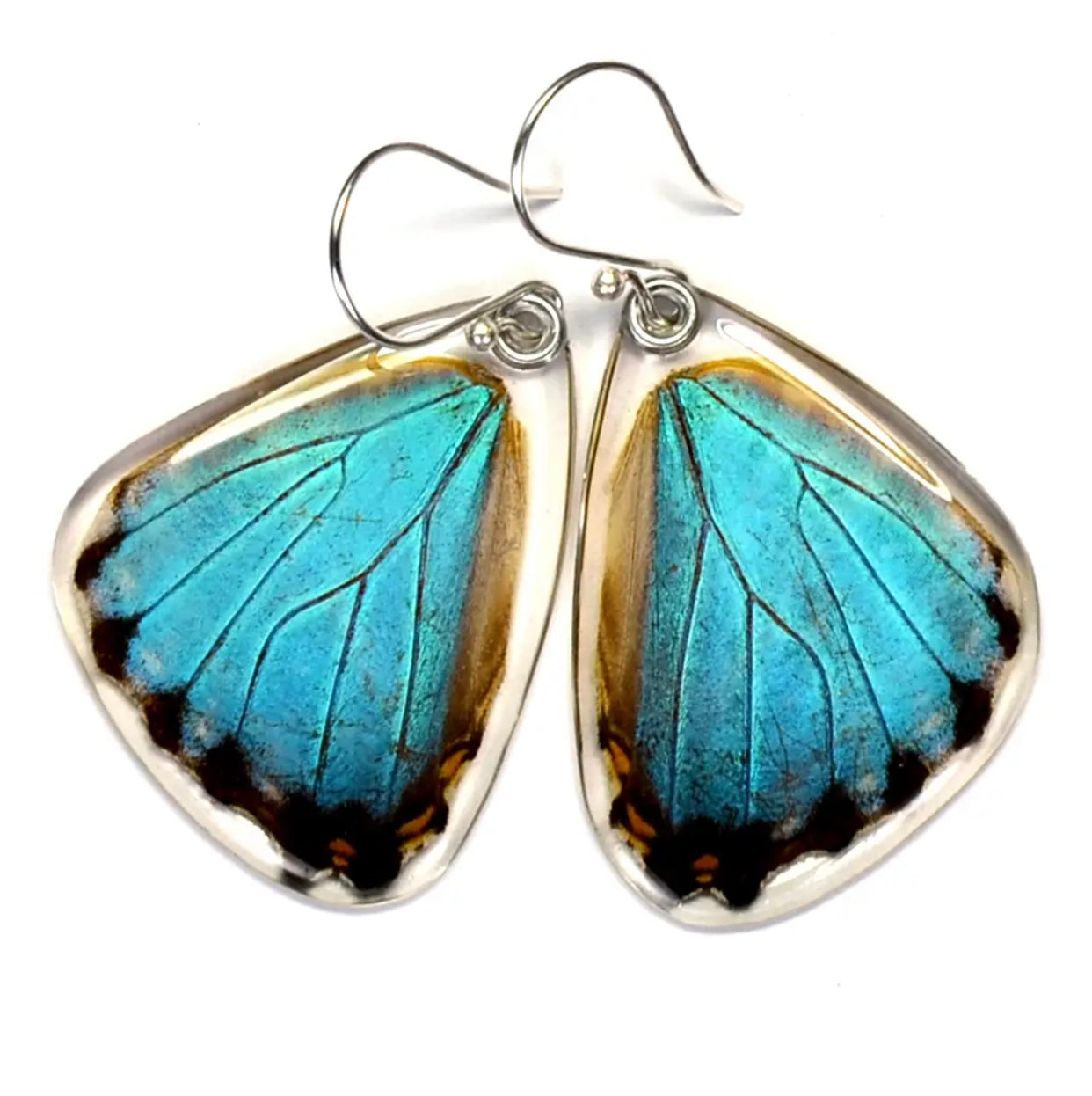 Wingstitution Butterfly Jewelry