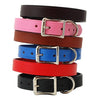 Auburn Leathercrafters Town Leather Dog Collar