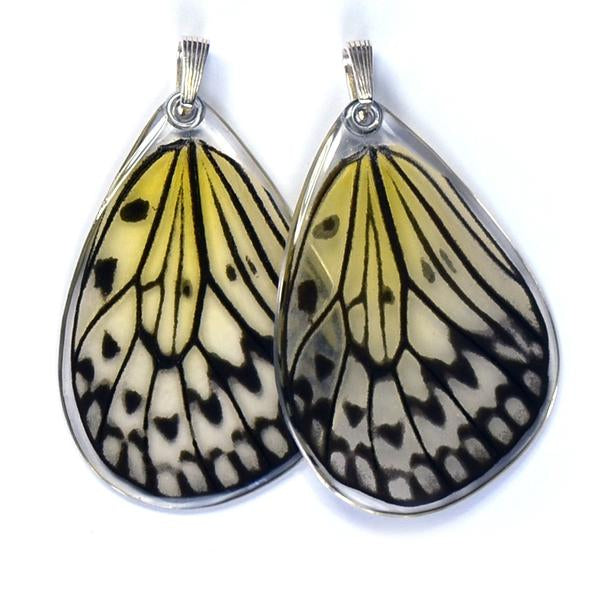 Wingstitution Butterfly Jewelry