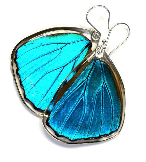 Wingstitution Butterfly Jewelry