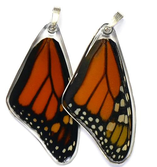 Wingstitution Butterfly Jewelry