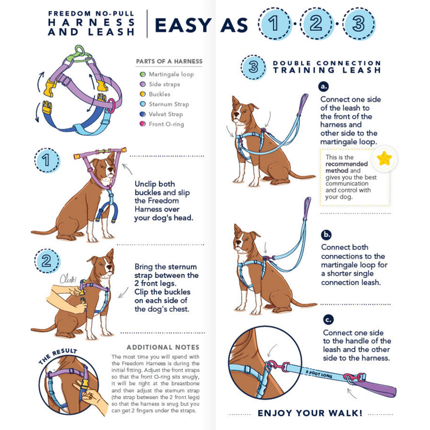 Freedom No-Pull Dog Harness