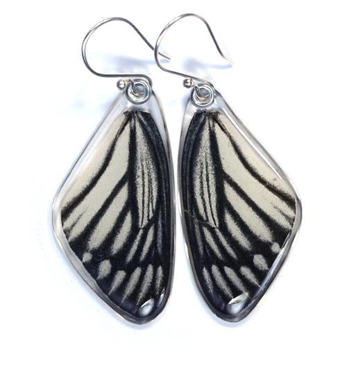 Wingstitution Butterfly Jewelry