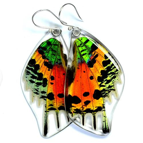 Wingstitution Butterfly Jewelry