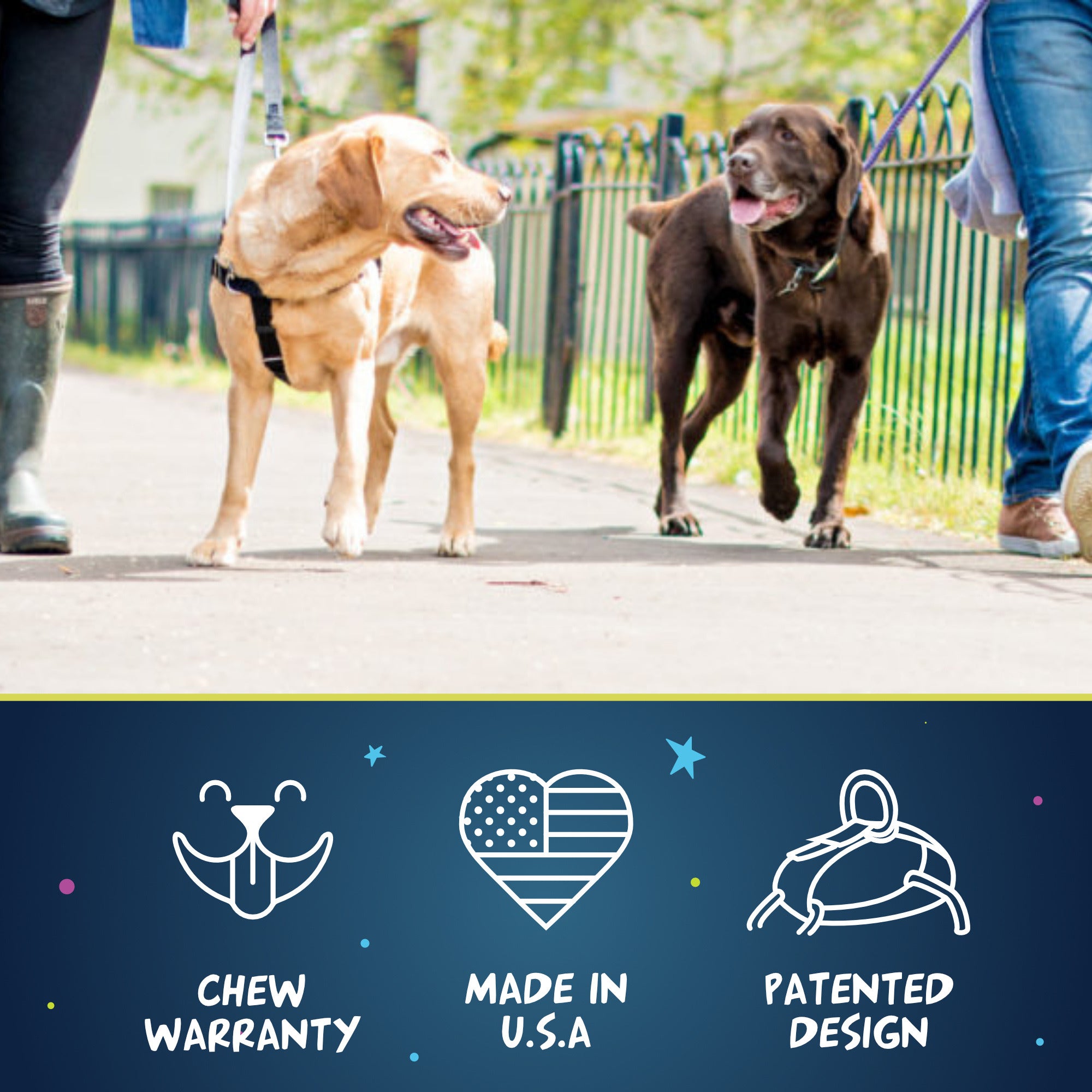 Freedom No-Pull Dog Harness