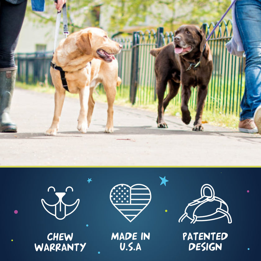 Freedom No-Pull Dog Harness