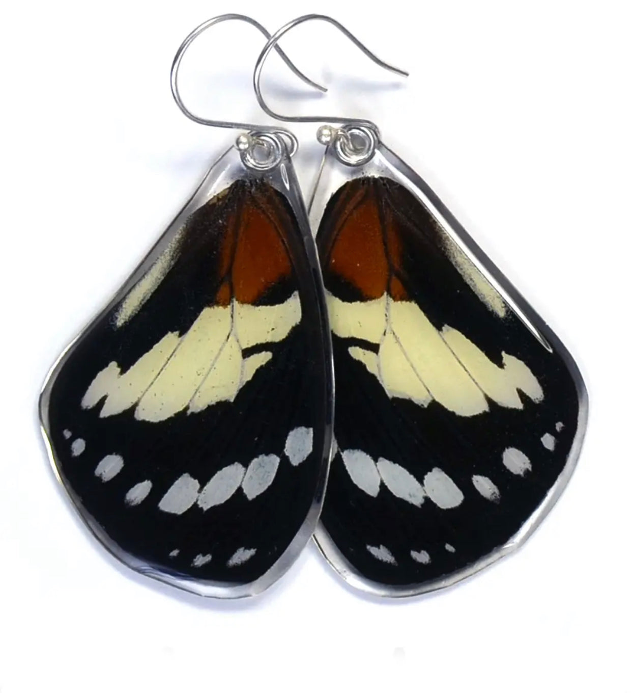 Wingstitution Butterfly Jewelry