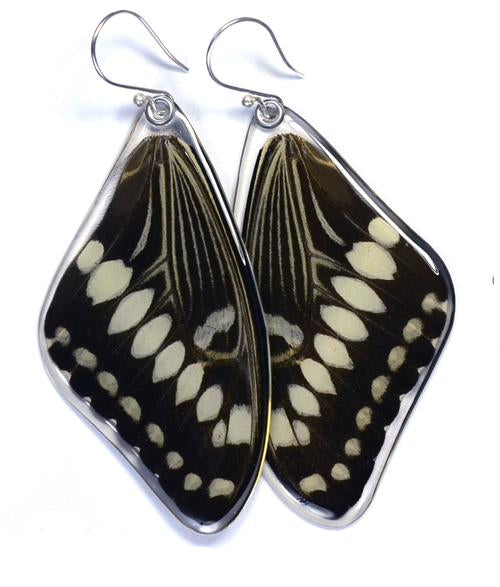 Wingstitution Butterfly Jewelry