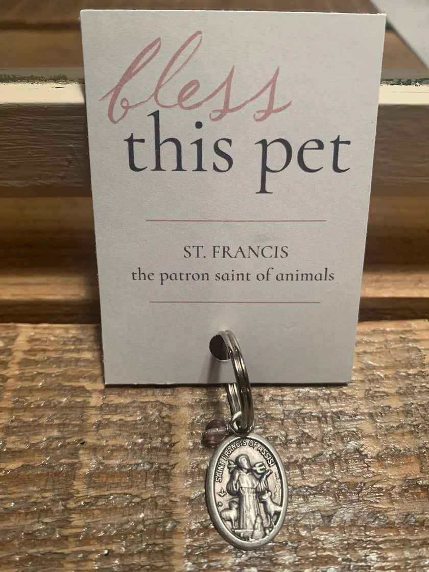 St. Francis Bless This Pet Tag
