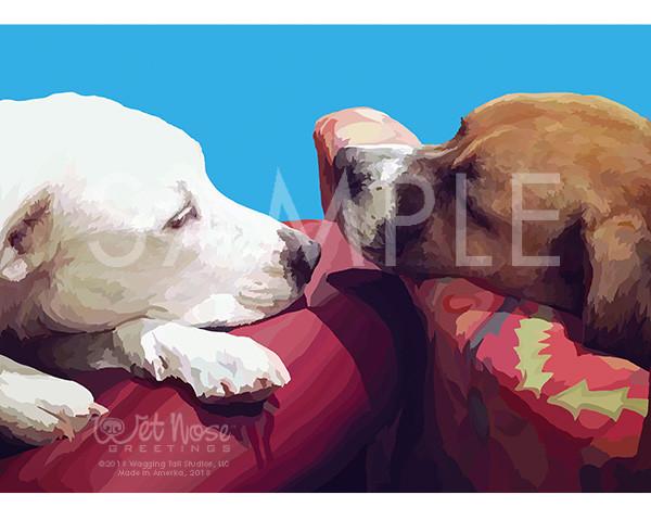 Wet Nose Greetings Card, 5